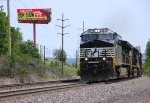 NS 4611 leading 29G